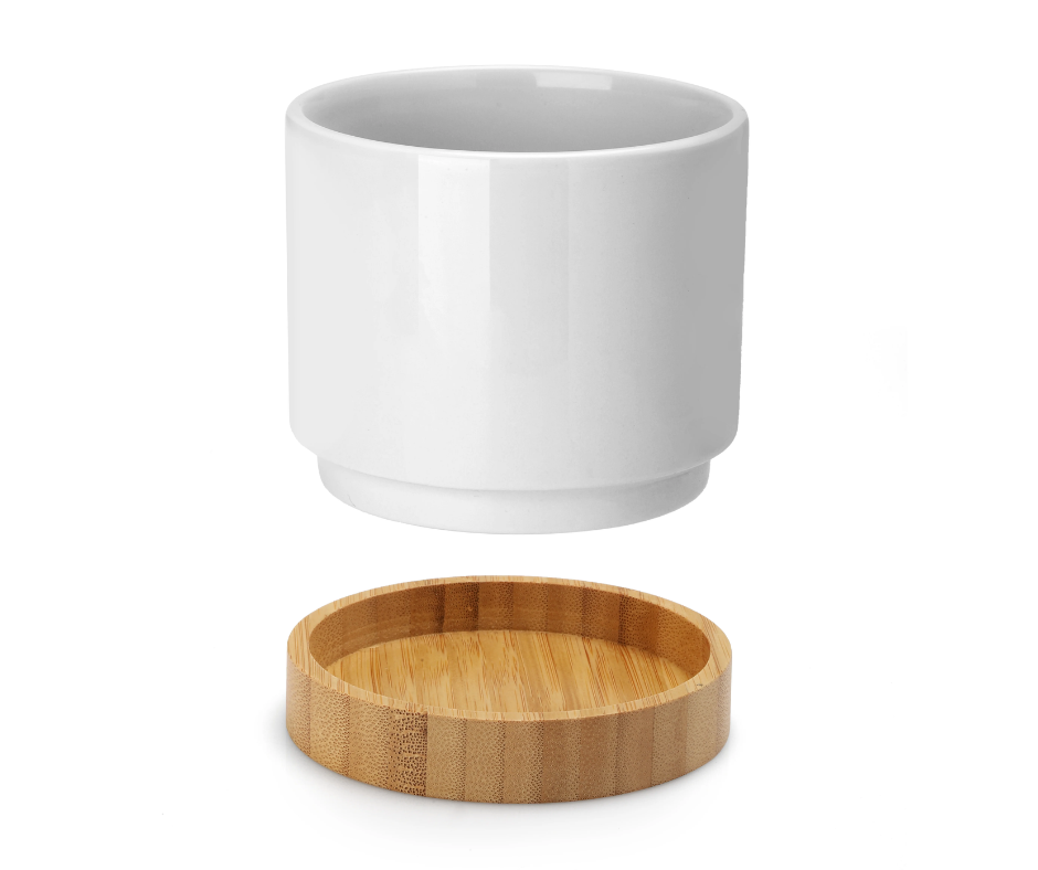 Rooting for Your Business | Plant Pot
